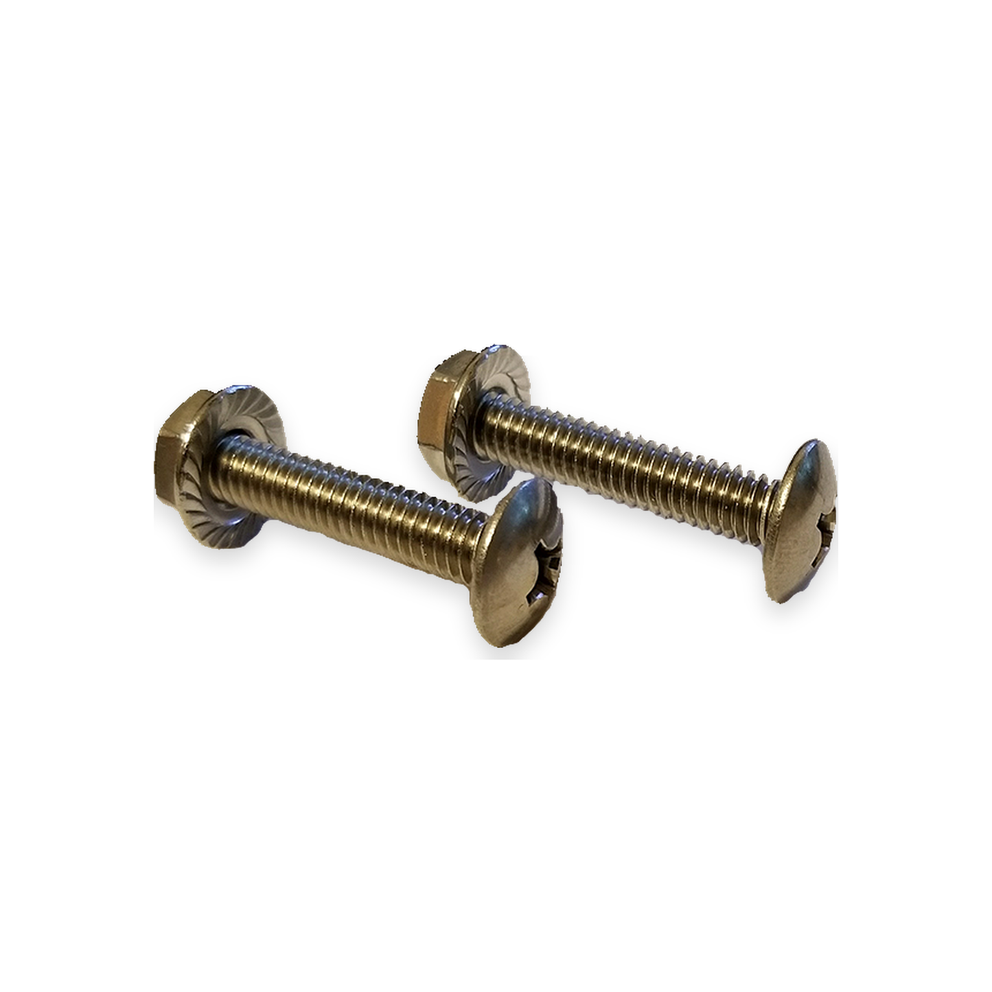 Staypoollizer Tank Mounting Bolts – 2 Pack